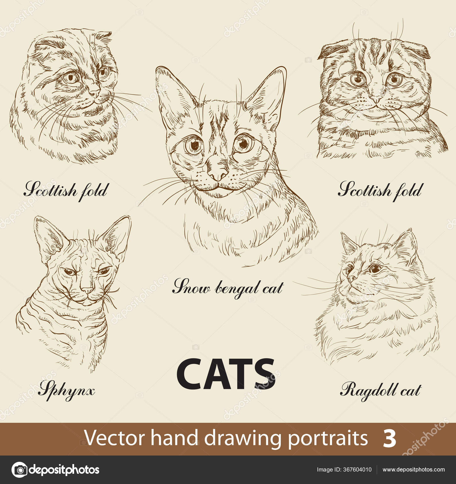 Jogo Desenho Mão Umas Raças Gatos Puras Cabeças Gato Isoladas imagem  vetorial de Alinart© 367604010